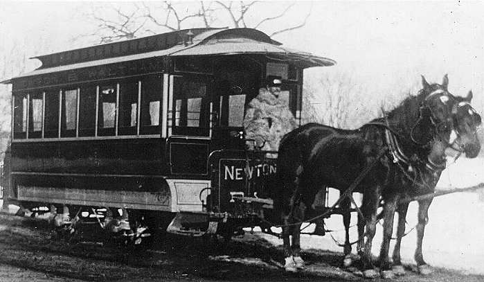 usr_m_stma_mandb_horse'xx_newton_bv_ntsr02.jpg